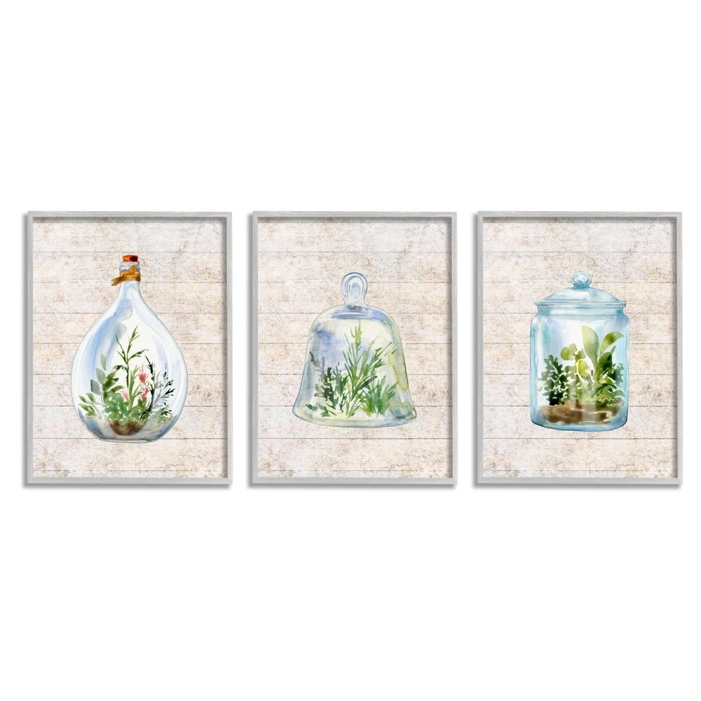Stupell Industries Enclosed Succulent Jars Rustic Charm Greenery Illustration Framed Wall Art Design by Sherri Buck Baldwin, 3 Piece, 16" x 20", Gray Framed