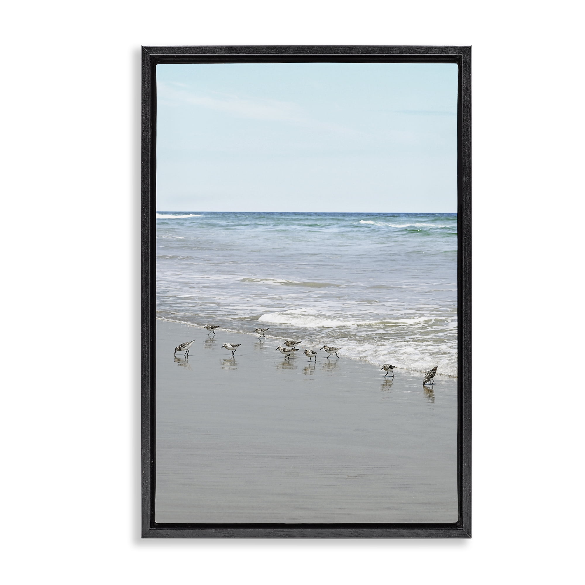 Stupell Industries Energetic Beach Birds Nautical & Beach Photography Black Floater Framed Canvas Art Print Wall Art, 17 x 25