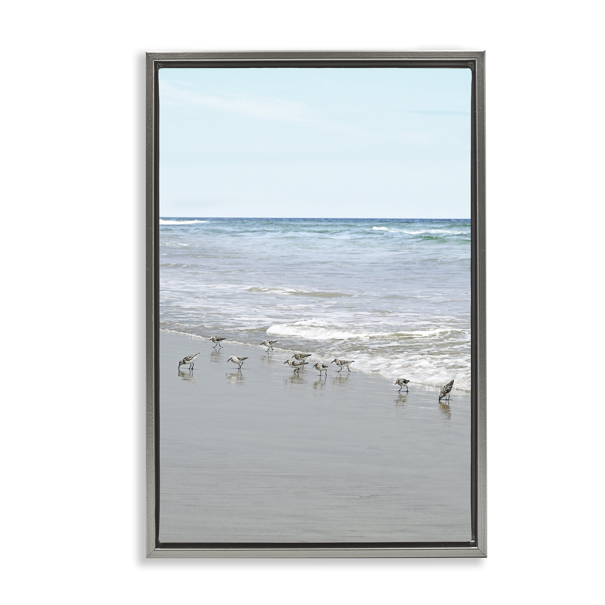 Stupell Industries Energetic Beach Birds Nautical & Beach Photography Gray Floater Framed Canvas Art Print Wall Art, 17 x 25