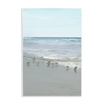 Stupell Industries Energetic Beach Birds Nautical & Beach Photography Unframed Art Print Wall Art, 10 x 15