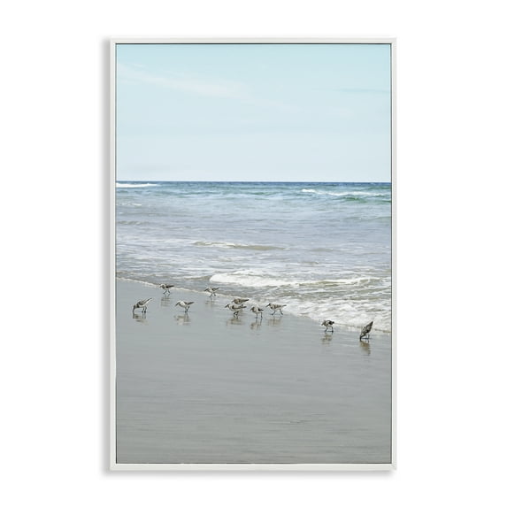 Stupell Industries Energetic Beach Birds Nautical & Beach Photography White Framed Art Print Wall Art, 16 x 24