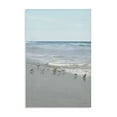 thumbnail image 1 of Stupell Industries Energetic Beach Birds Nautical & Beach Photography Wrapped Canvas Art Print Wall Art, 24 x 36, 1 of 8