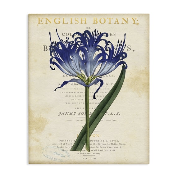Stupell Industries Shabby Chic English Botany Blue Floral Canvas Art, 16 x 20, by Susan Arnot