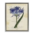 thumbnail image 1 of Stupell Industries Shabby Chic English Botany Blue Floral Gray Floating Frame Canvas Art, 25 x 31, by Susan Arnot, 1 of 8
