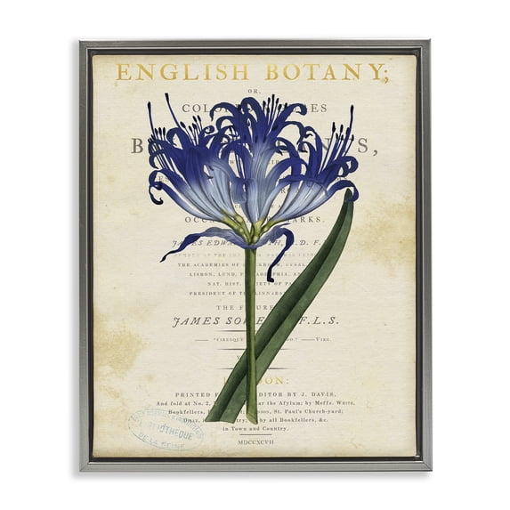 Stupell Industries Shabby Chic English Botany Blue Floral Gray Floating Frame Canvas Art, 25 x 31, by Susan Arnot