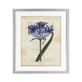 thumbnail image 1 of Stupell Industries Shabby Chic English Botany Blue Floral Gray Framed Print Under Glass, 13 x 16, by Susan Arnot, 1 of 8