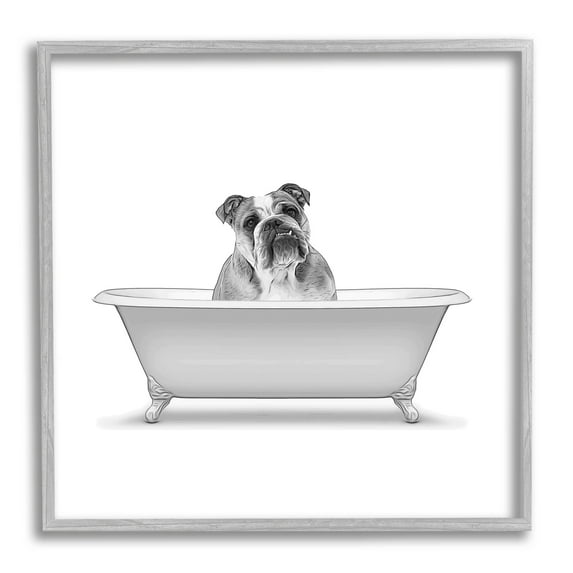 Stupell Industries English Bulldog Dog Bath Tub Graphic Art Gray Framed Art Print Wall Art, Design by Annalisa Latella