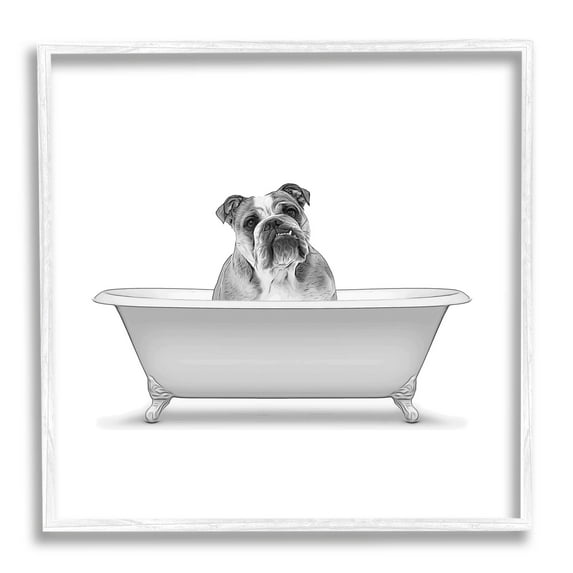 Stupell Industries English Bulldog Dog Bath Tub Graphic Art White Framed Art Print Wall Art, Design by Annalisa Latella