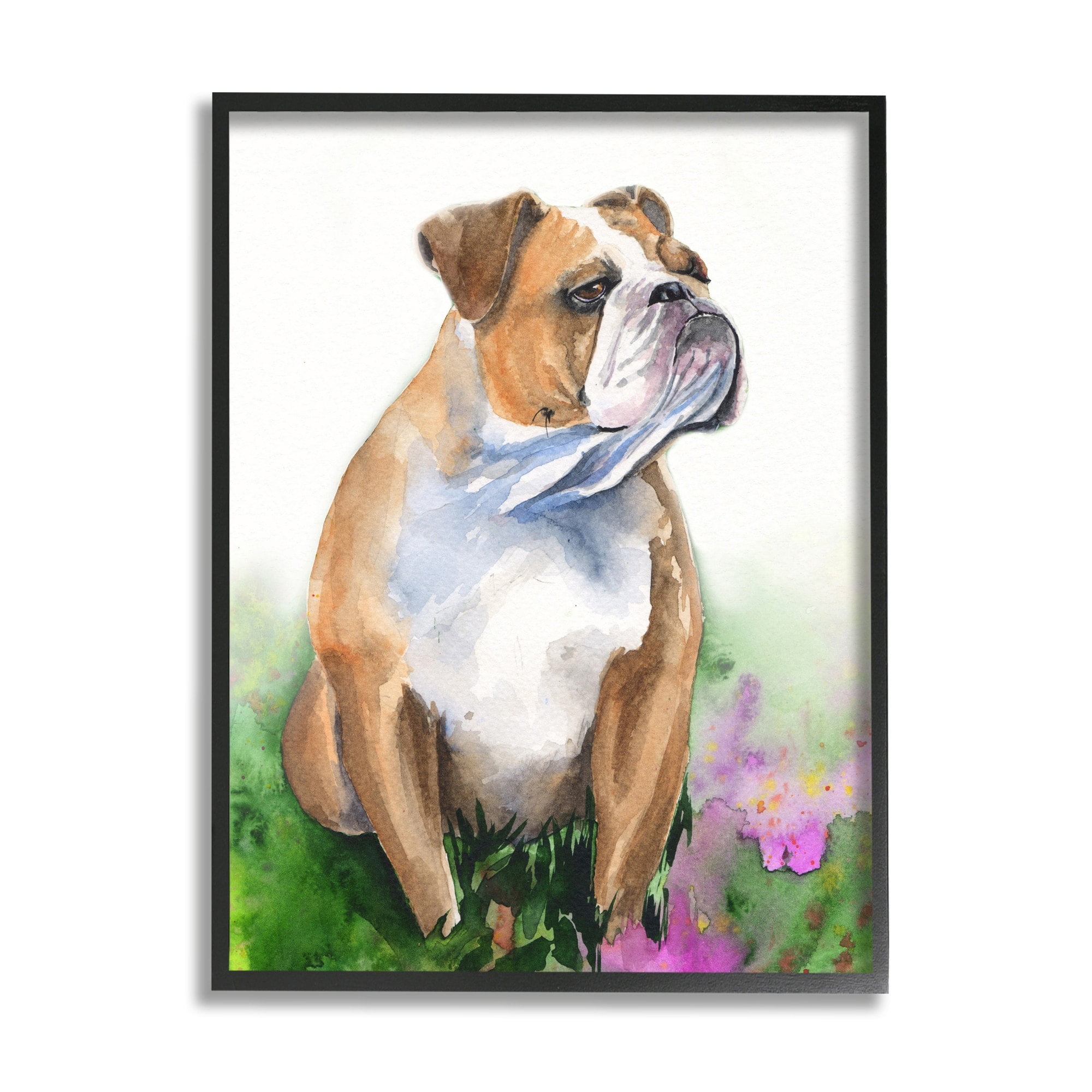 Stupell Industries English Bulldog Grassy Florals Soft Watercolor Portrait Black Framed, 16 x 20, Design by George Dyachenko