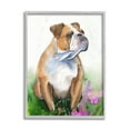 thumbnail image 1 of Stupell Industries English Bulldog Grassy Florals Soft Watercolor Portrait Grey Framed, 11 x 14, Design by George Dyachenko, 1 of 5