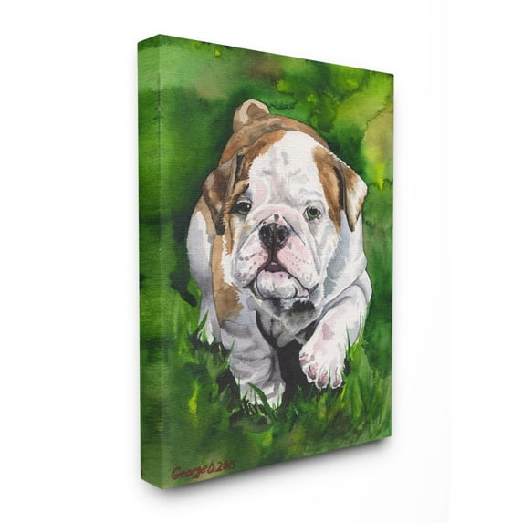 Stupell Industries English Bulldog Puppy Dog Pet Animal Watercolor Painting Canvas Wall Art by George Dyachenko