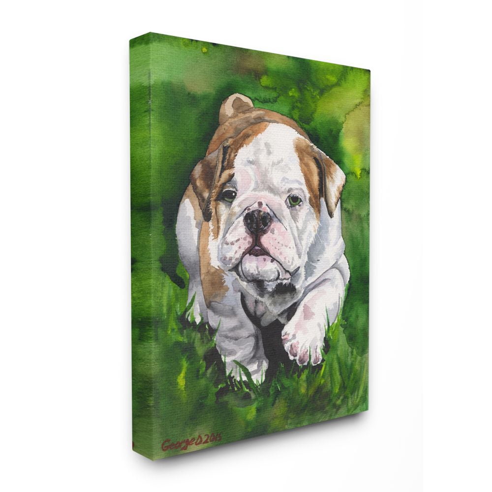 Stupell Industries English Bulldog Puppy Dog Pet Animal Watercolor Painting Super Canvas Wall Art by George Dyachenko