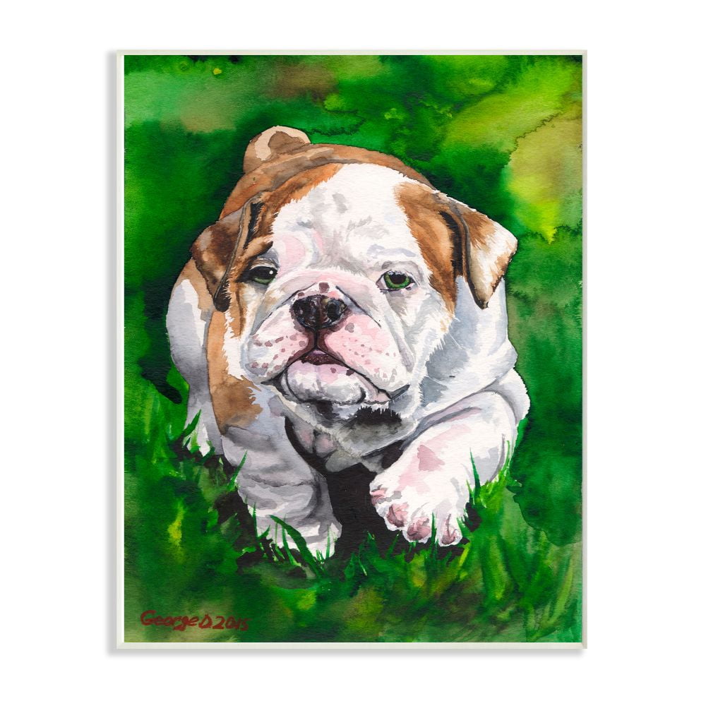 Stupell Industries English Bulldog Puppy Dog Pet Animal Watercolor Painting Wall Plaque Art by George Dyachenko
