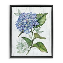 Stupell Industries English Manor Hydrangea Plants & Flowers Painting Black Floater Framed Canvas Art Print Wall Art, 17 x 21