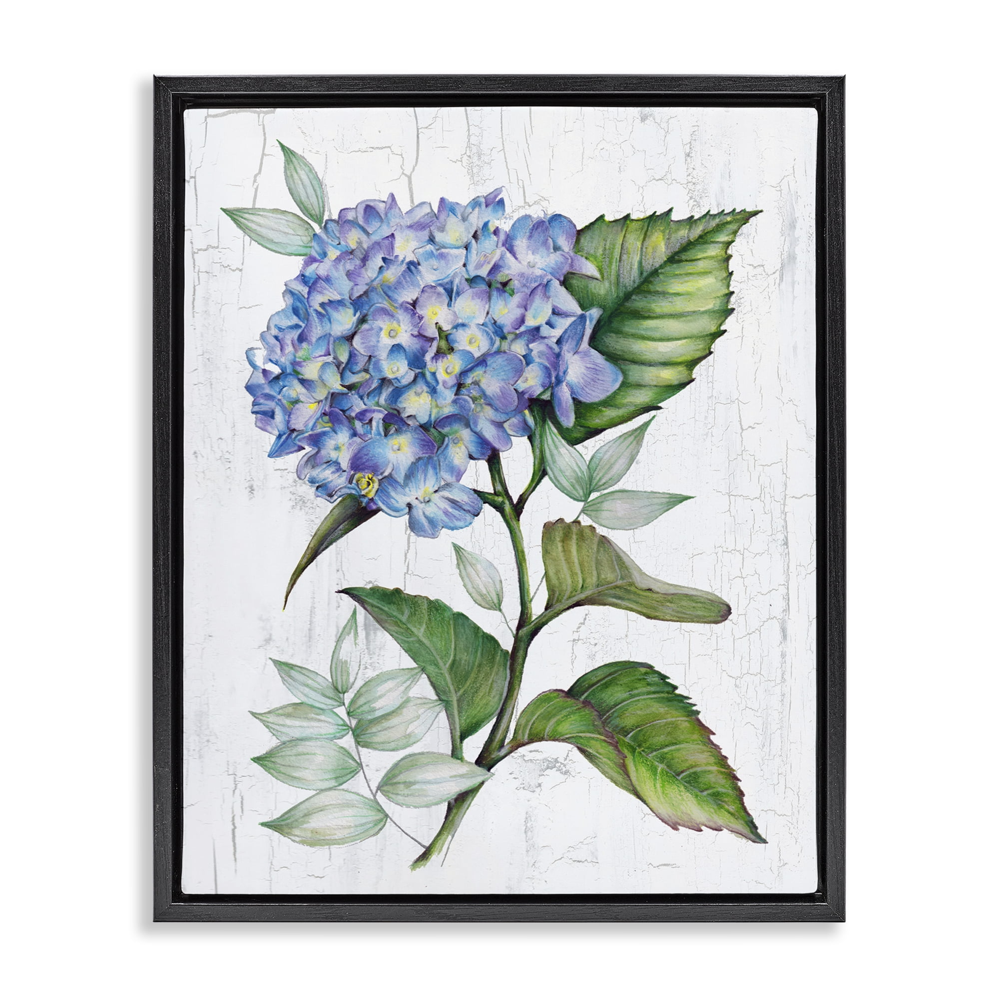 Stupell Industries English Manor Hydrangea Plants & Flowers Painting Black Floater Framed Canvas Art Print Wall Art, 25 x 31