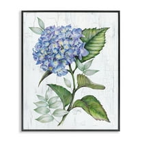 Stupell Industries English Manor Hydrangea Plants & Flowers Painting Black Framed Art Print Wall Art, 11 x 14