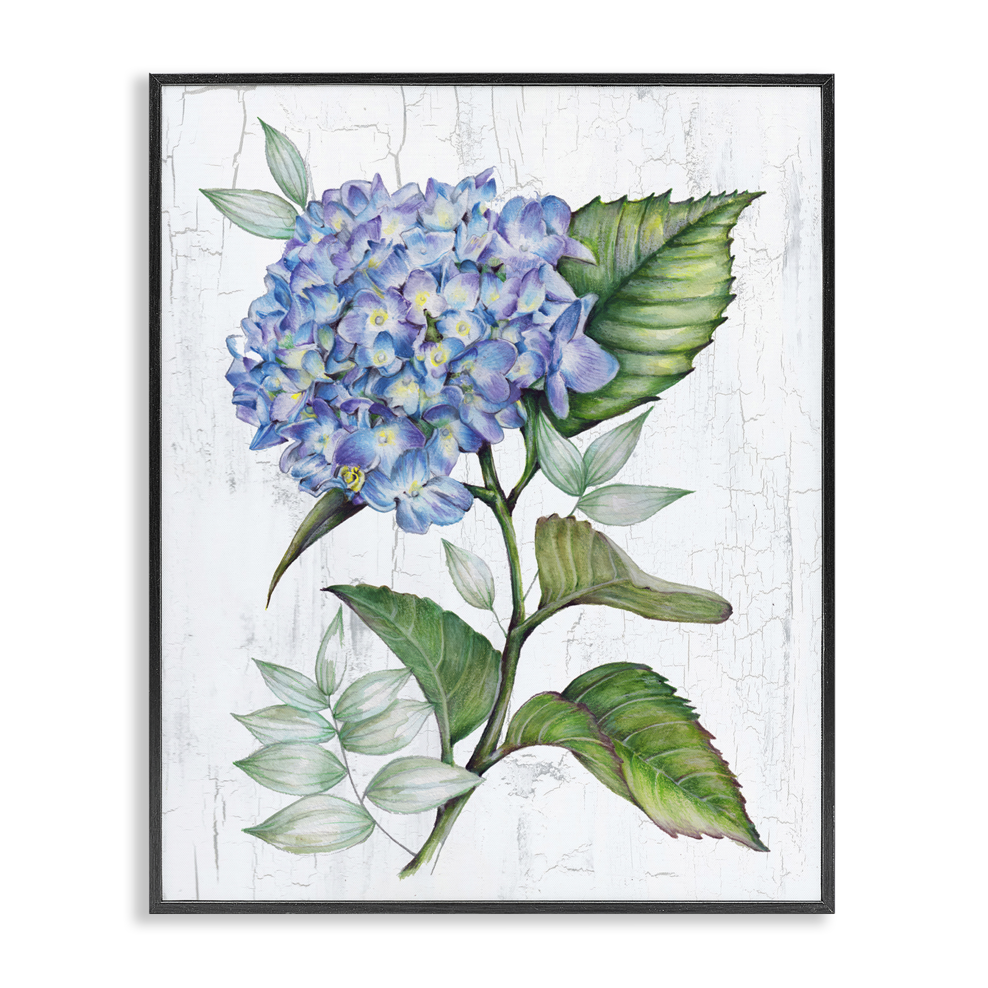 Stupell Industries English Manor Hydrangea Plants & Flowers Painting Black Framed Art Print Wall Art, 24 x 30