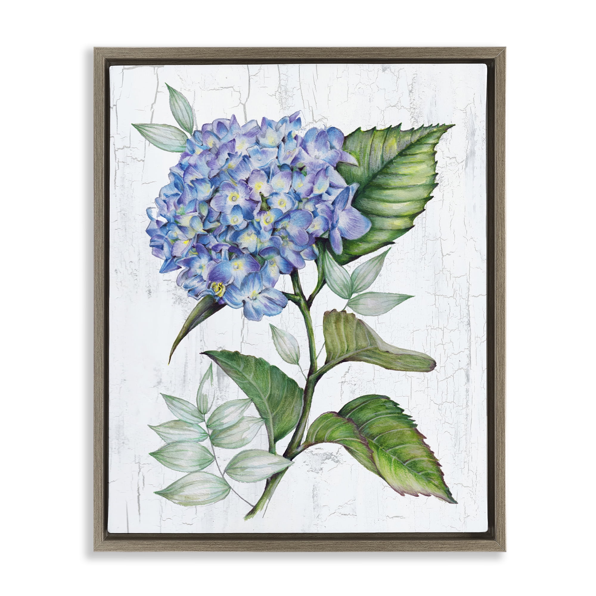 Stupell Industries English Manor Hydrangea Plants & Flowers Painting Brown Floater Framed Canvas Art Print Wall Art, 17 x 21