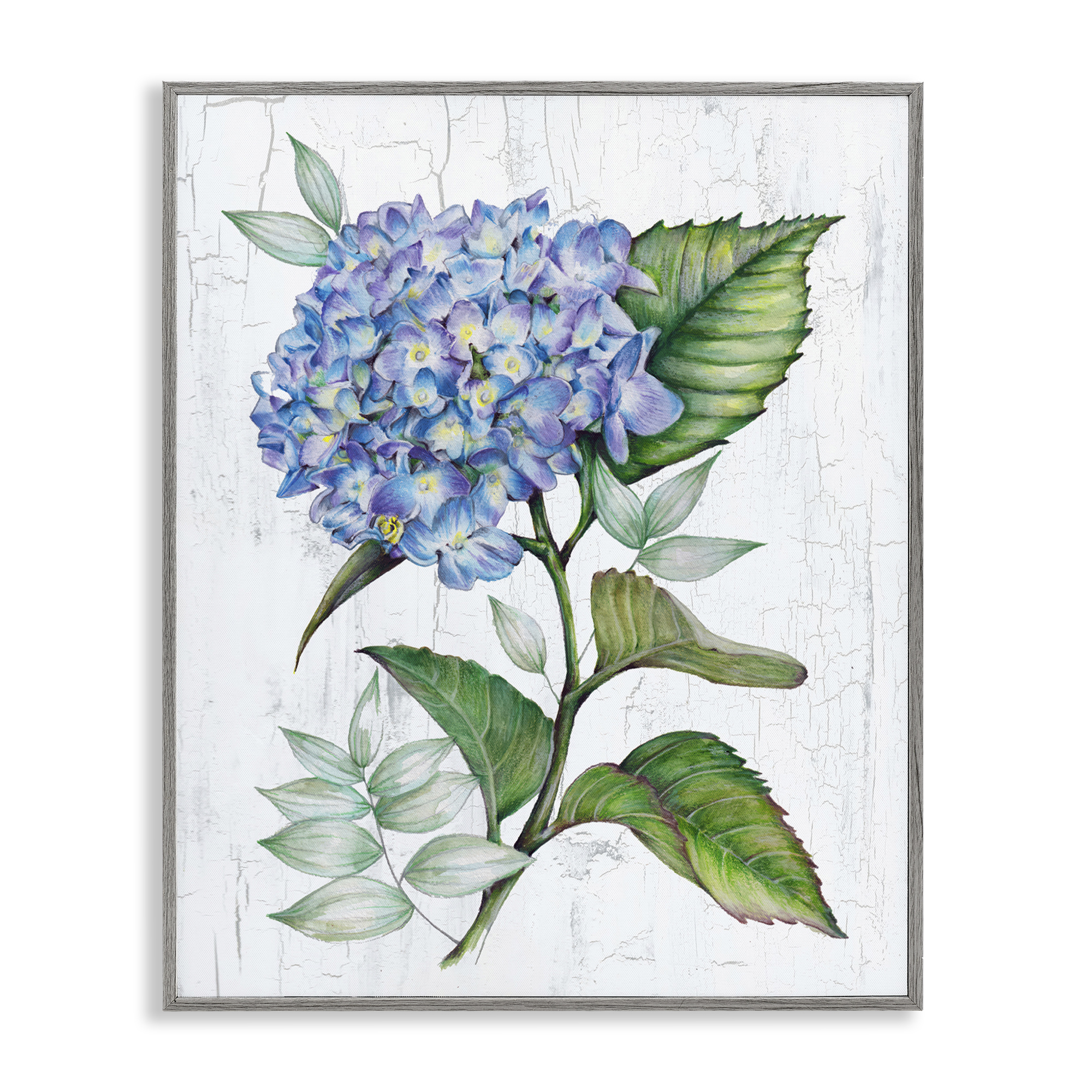 Stupell Industries English Manor Hydrangea Plants & Flowers Painting Gray Framed Art Print Wall Art, 16 x 20
