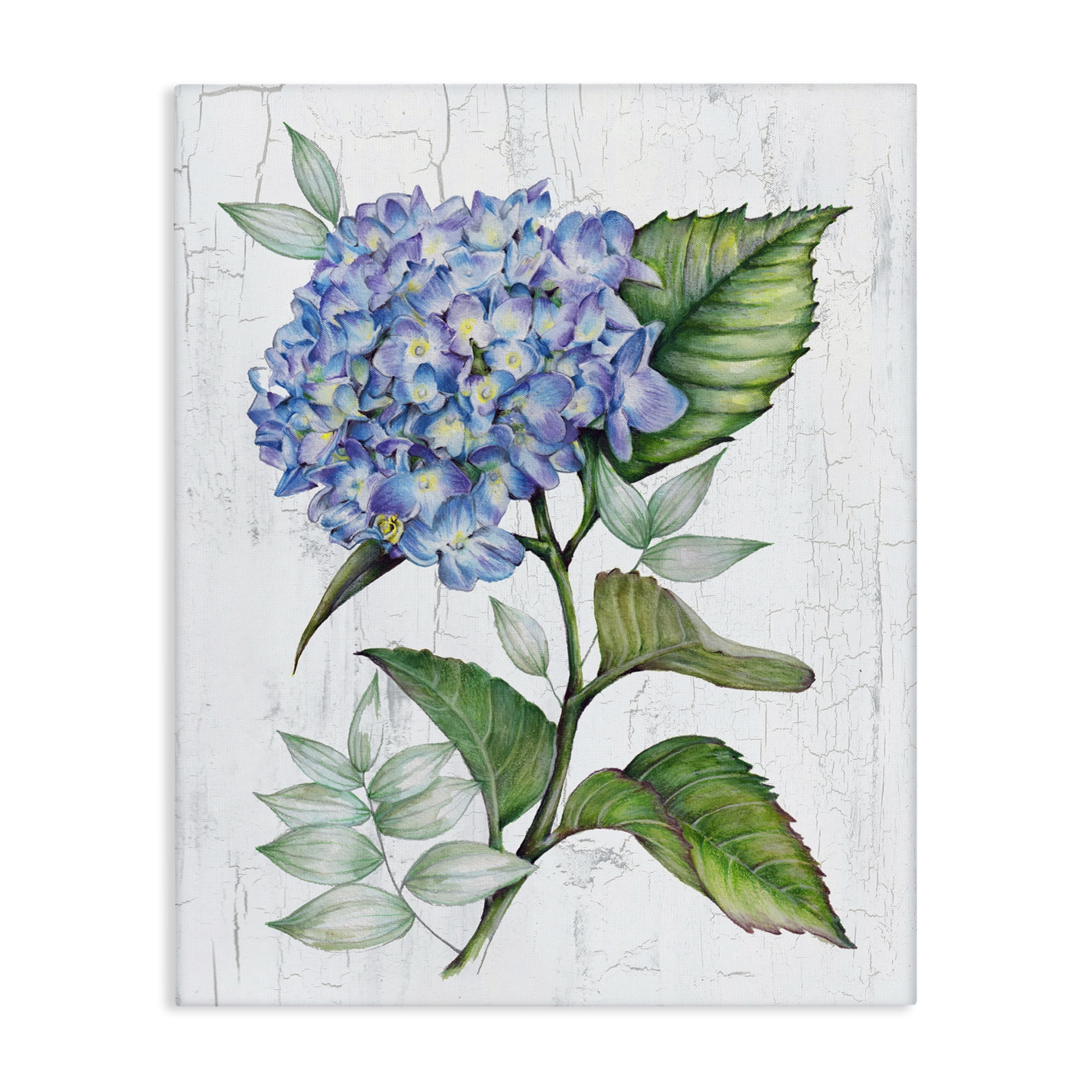 Stupell Industries English Manor Hydrangea Plants & Flowers Painting Wrapped Canvas Art Print Wall Art, 30 x 40