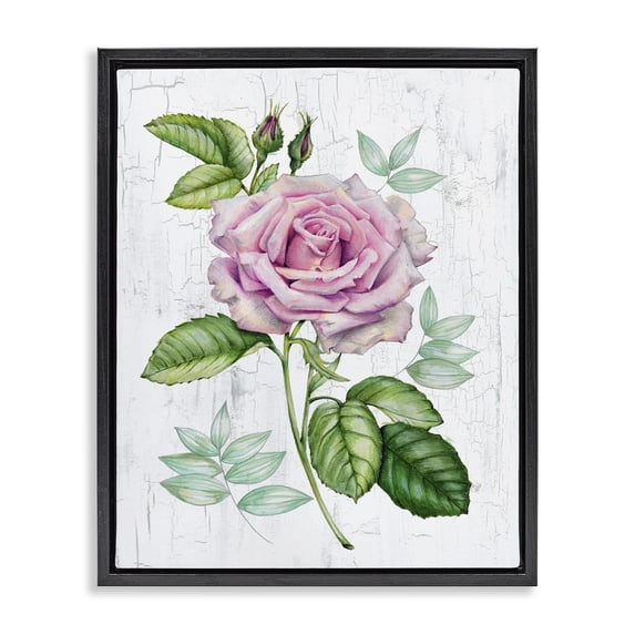 Stupell Industries French Country English Manor Rose Black Floating Frame Canvas Art, 17 x 21, by Levison Design