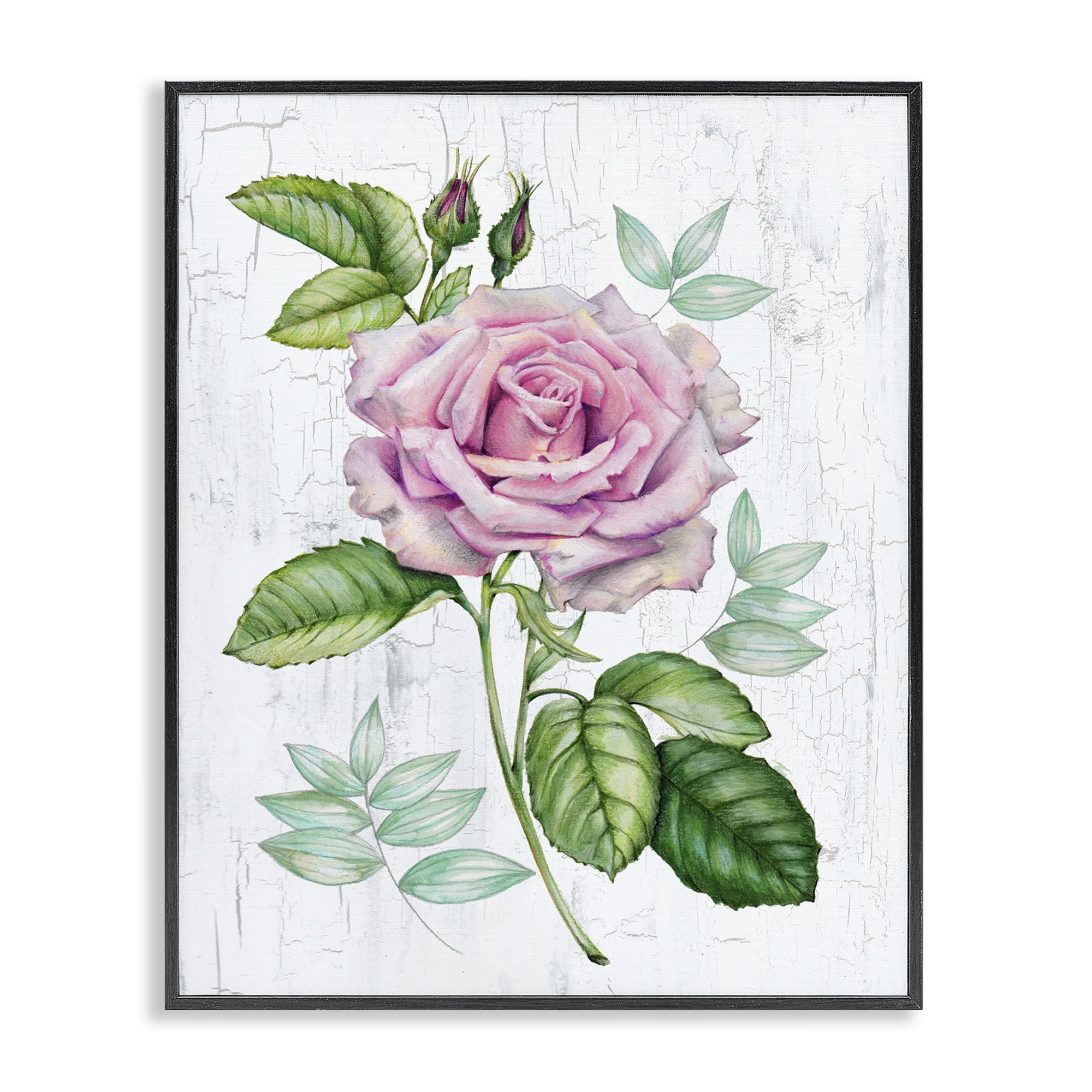 Stupell Industries English Manor Rose Botanical & Floral Painting Black Framed Art Print Wall Art, 11 x 14