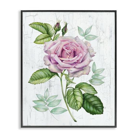 Stupell Industries English Manor Rose Botanical & Floral Painting Black Framed Art Print Wall Art, 24 x 30