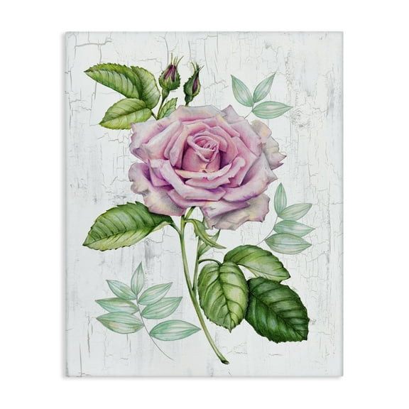 Stupell Industries English Manor Rose Botanical & Floral Painting Gallery Wrapped Canvas Art Print Wall Art, 16 x 20