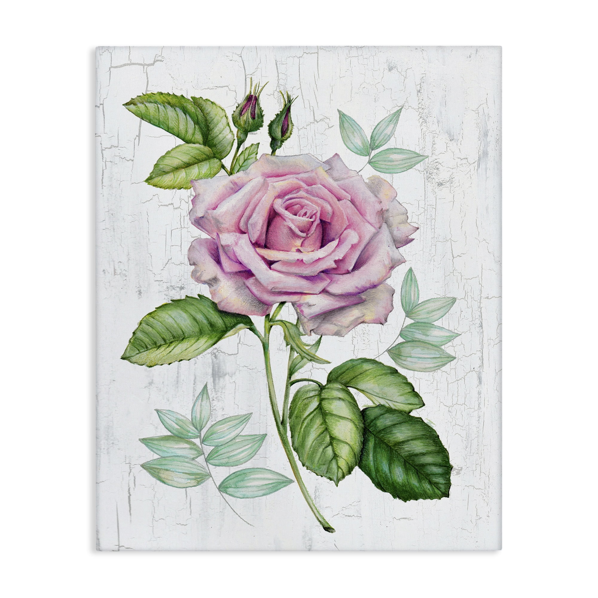 Stupell Industries English Manor Rose Botanical & Floral Painting Gallery Wrapped Canvas Art Print Wall Art, 36 x 48