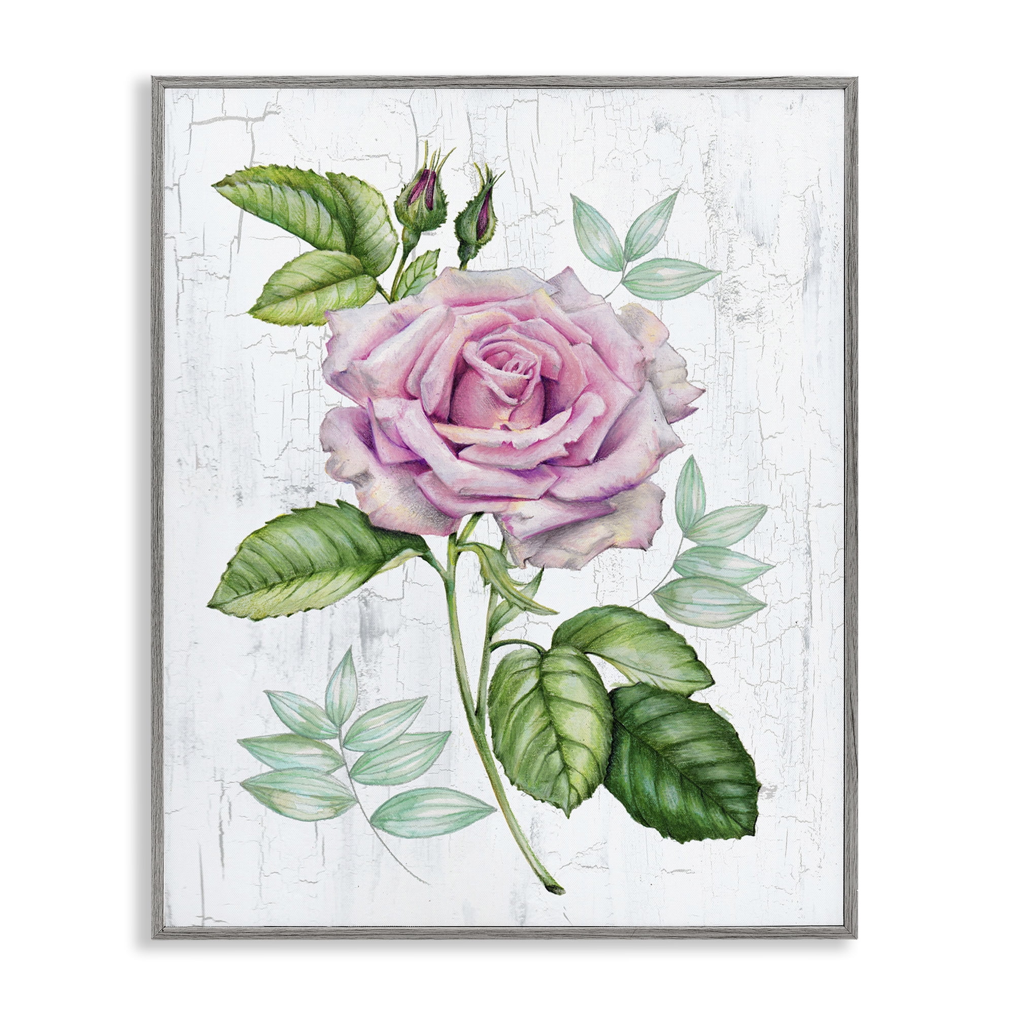 Stupell Industries English Manor Rose Botanical & Floral Painting Gray Framed Art Print Wall Art, 16 x 20