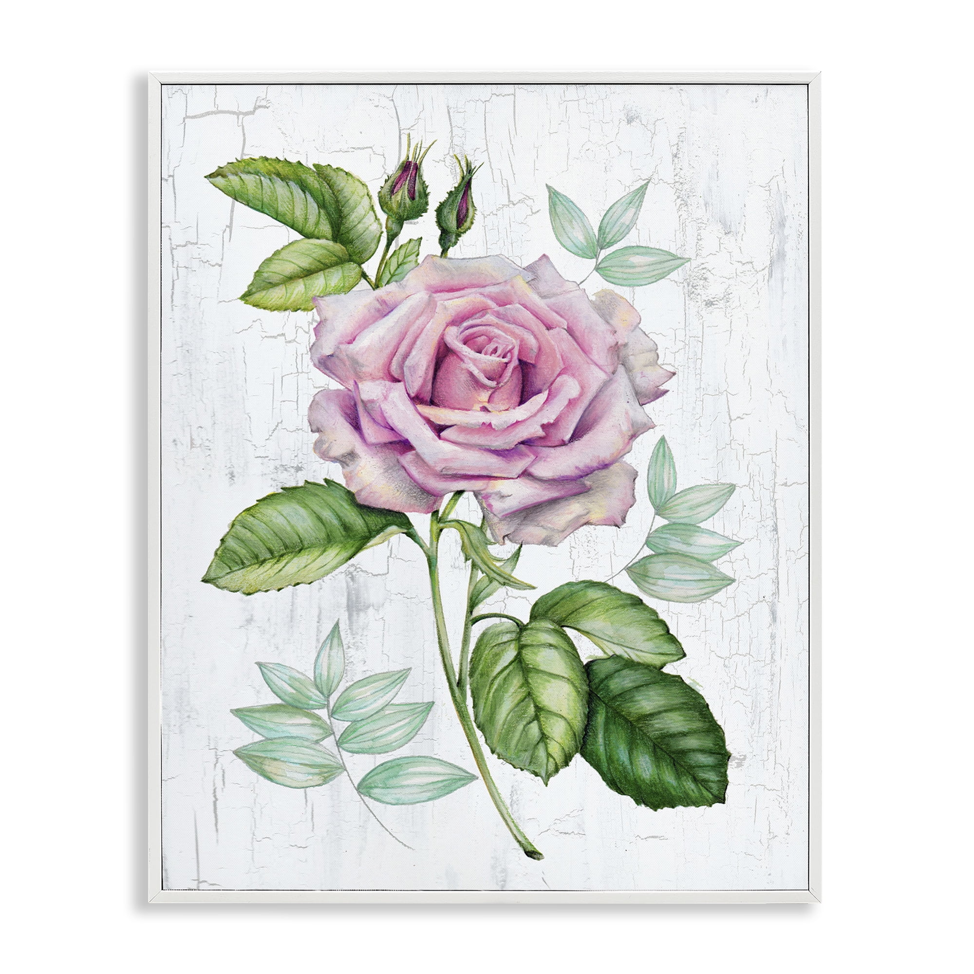 Stupell Industries English Manor Rose Botanical & Floral Painting White Framed Art Print Wall Art, 11 x 14