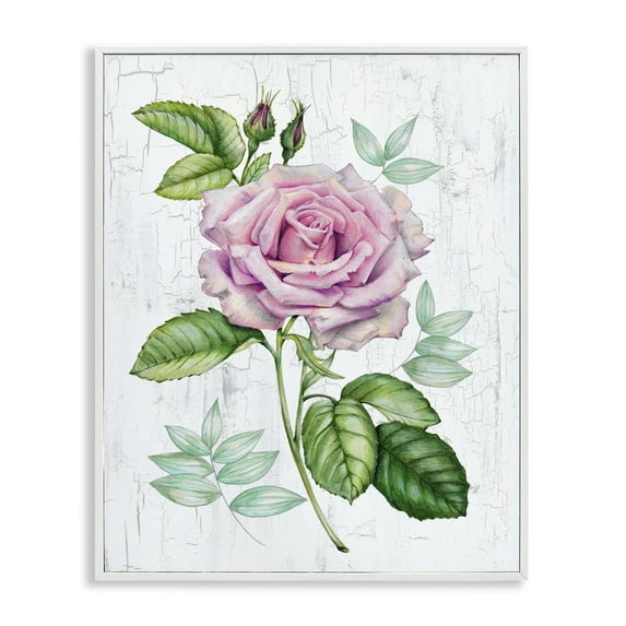 Stupell Industries English Manor Rose Botanical & Floral Painting White Framed Art Print Wall Art, 24 x 30