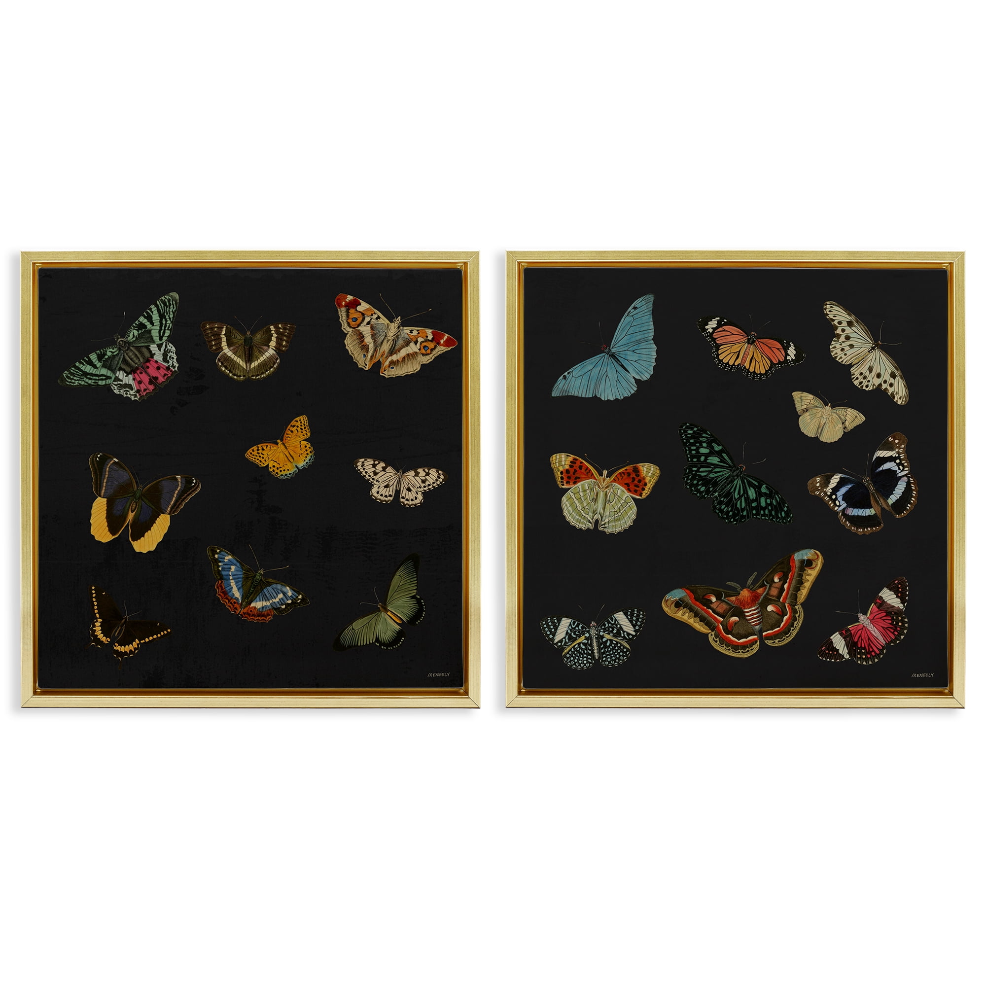 Stupell Industries Entomology Collection on Black 2 Piece Gold Framed Floater Canvas Set, design by Dan Meneely