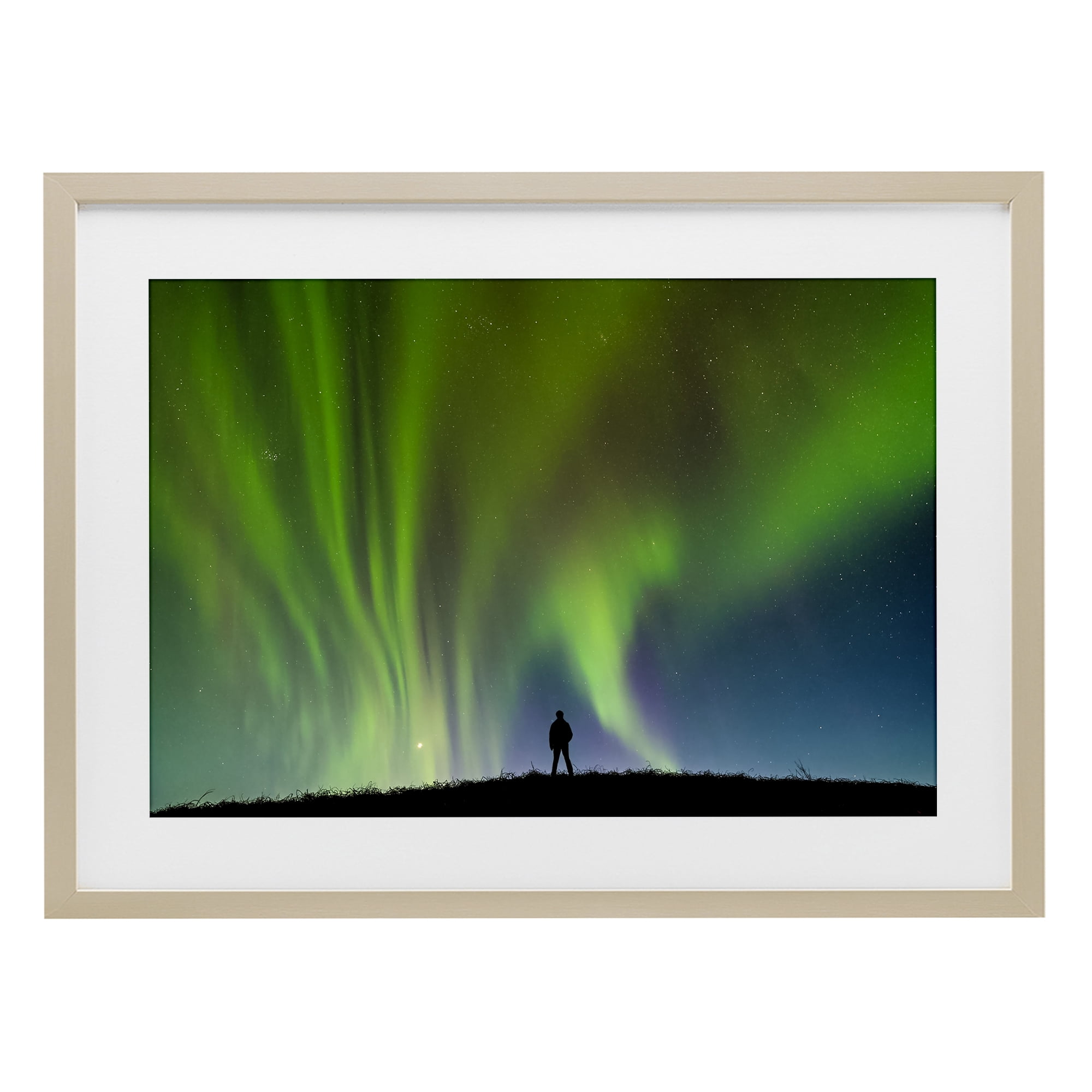 Stupell Industries Envelop Northern Lights Silhouette Birch Framed Print Under Glass, design by Shelley Carlisle