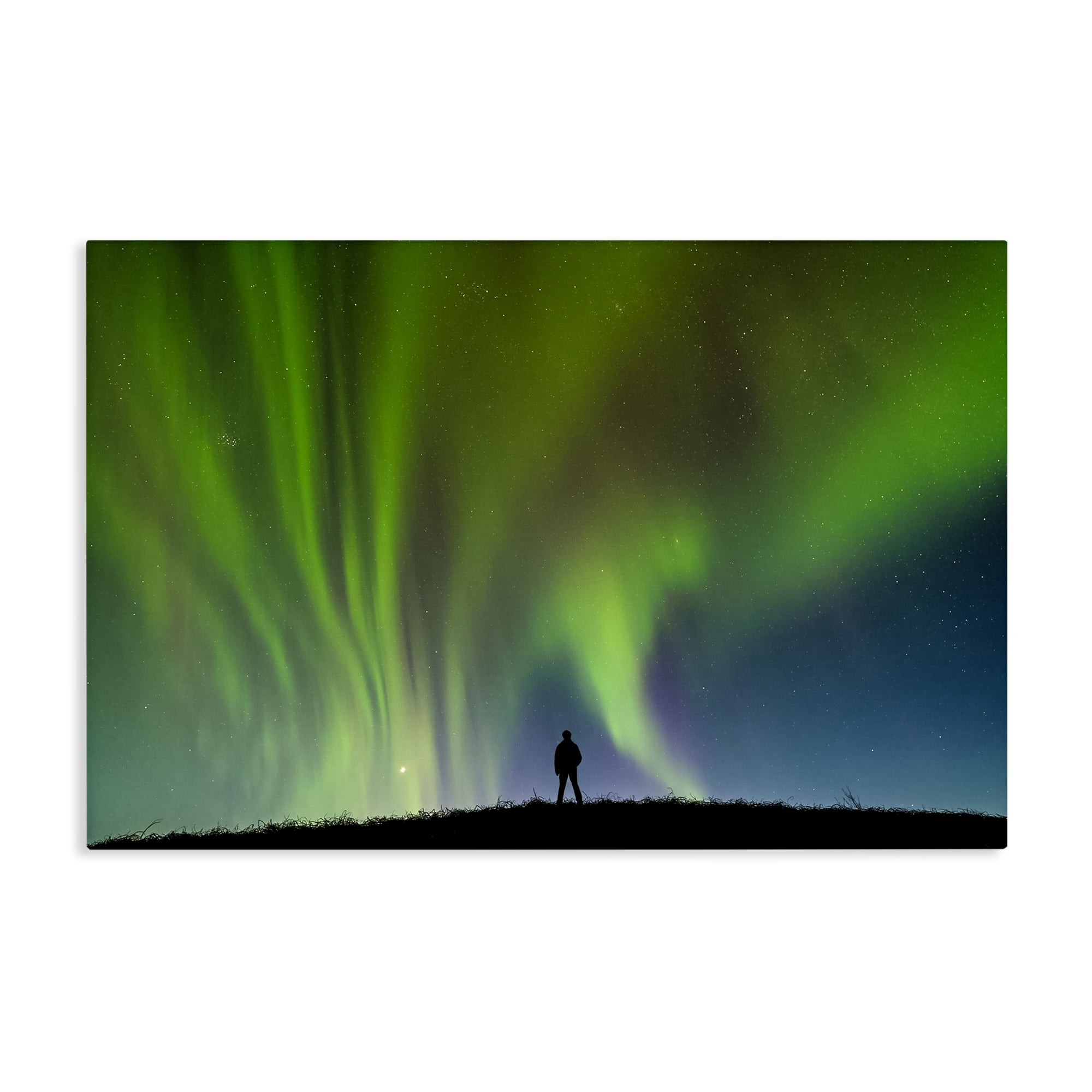Stupell Industries Envelop Northern Lights Silhouette Canvas Wall Art, design by Shelley Carlisle