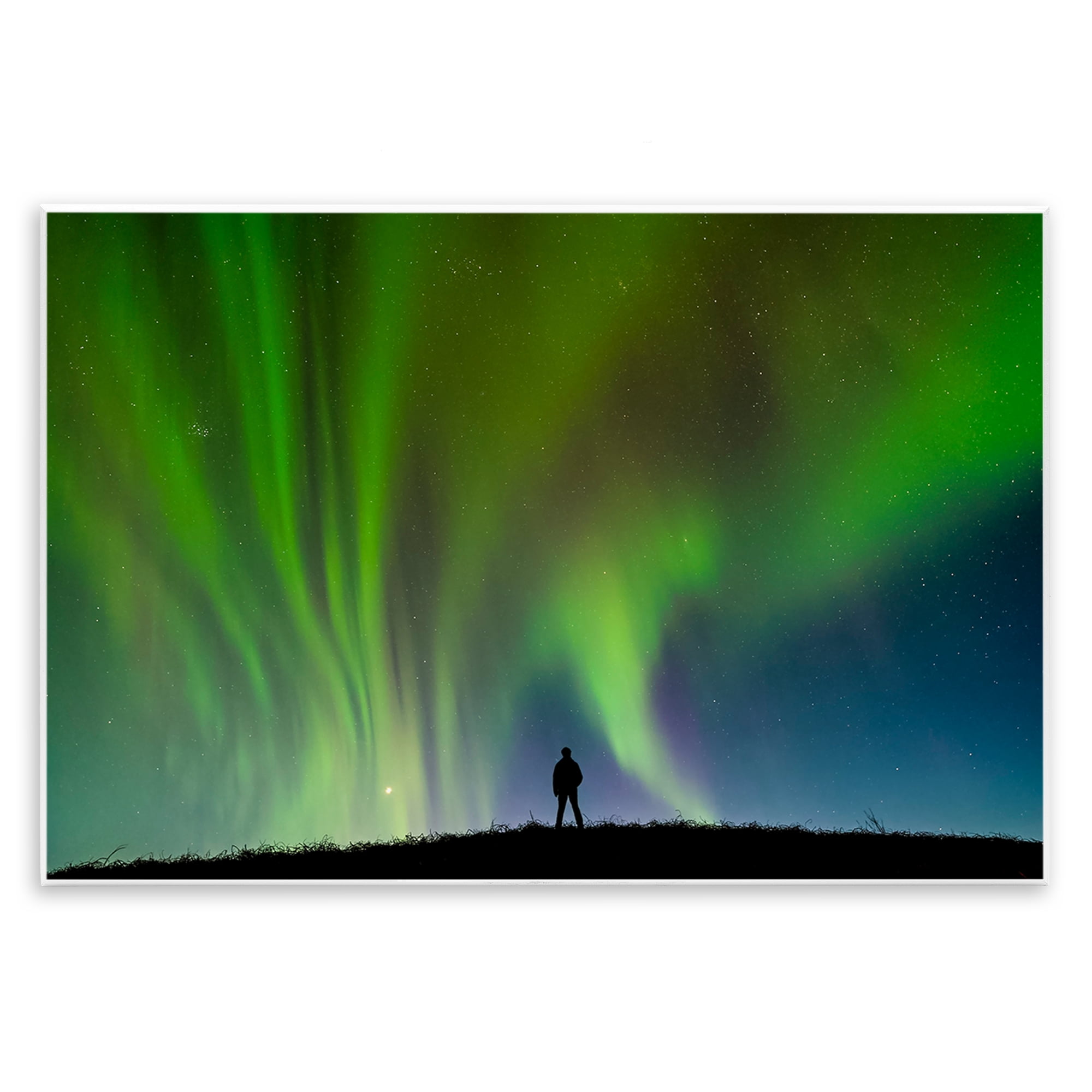 Stupell Industries Envelop Northern Lights Silhouette Wall Plaque Art, design by Shelley Carlisle