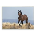thumbnail image 1 of Stupell Industries Equestrian Horse in Wild Countryside Soft Blue Sky, 10 x 15, Designed by Larry McFerrin, 1 of 6