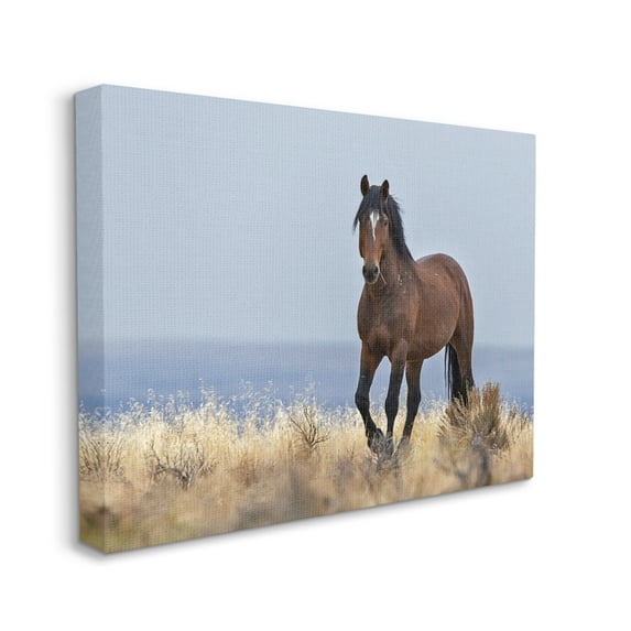 Stupell Industries Equestrian Horse in Wild Countryside Soft Blue Sky, 16 x 20, Designed by Larry McFerrin