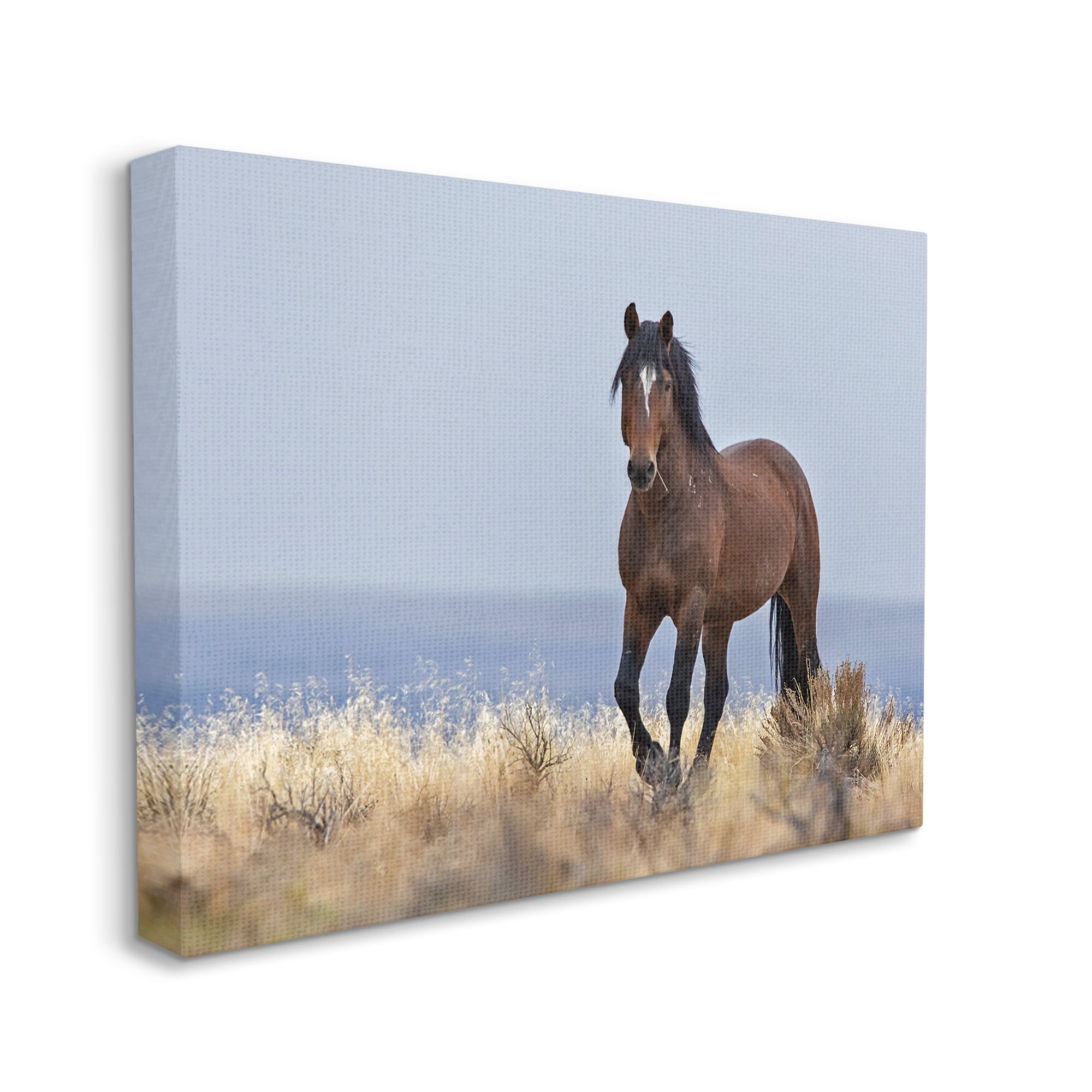 Stupell Industries Equestrian Horse in Wild Countryside Soft Blue Sky, 36 x 48, Designed by Larry McFerrin