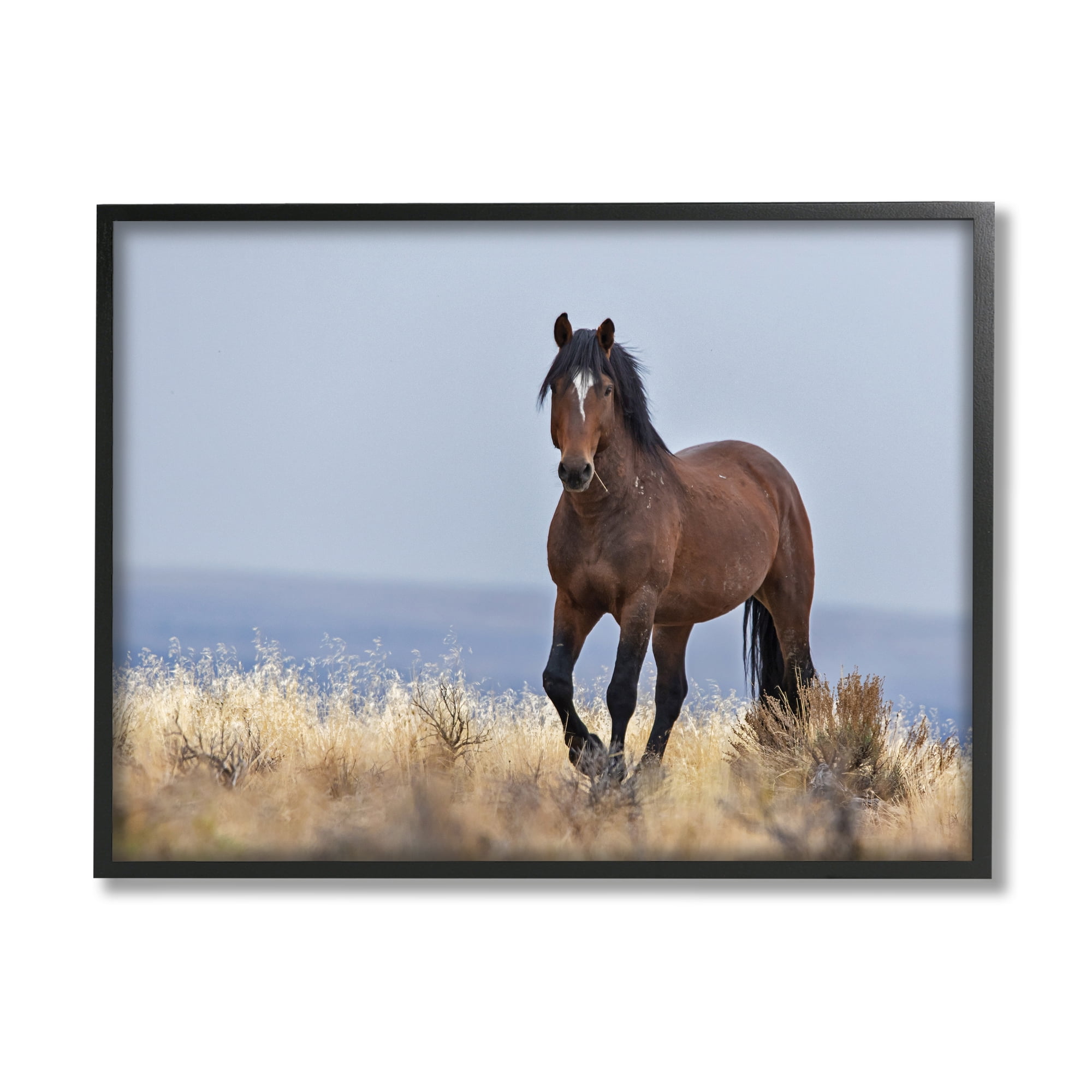 Stupell Industries Equestrian Horse in Wild Countryside Soft Blue Sky Photography Black Framed Art Print Wall Art, 16x20, by Larry McFerrin