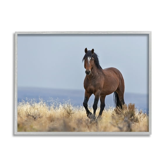 Stupell Industries Equestrian Horse in Wild Countryside Soft Blue Sky Photography Gray Framed Art Print Wall Art, 11x14, by Larry McFerrin