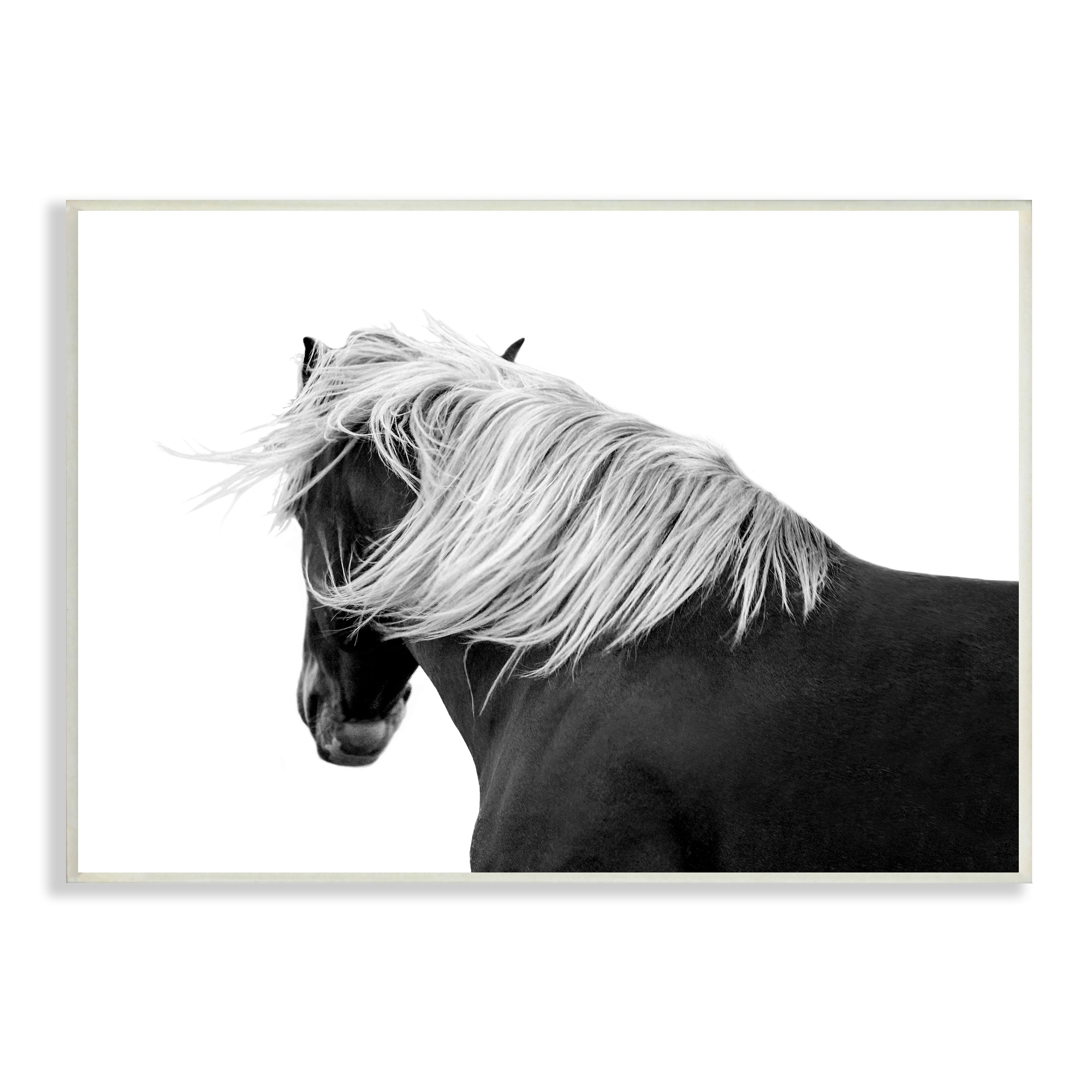 Stupell Industries Equestrian Photography Modern Horse Contrast Black White, 19 x 13,Design by Samantha Carter