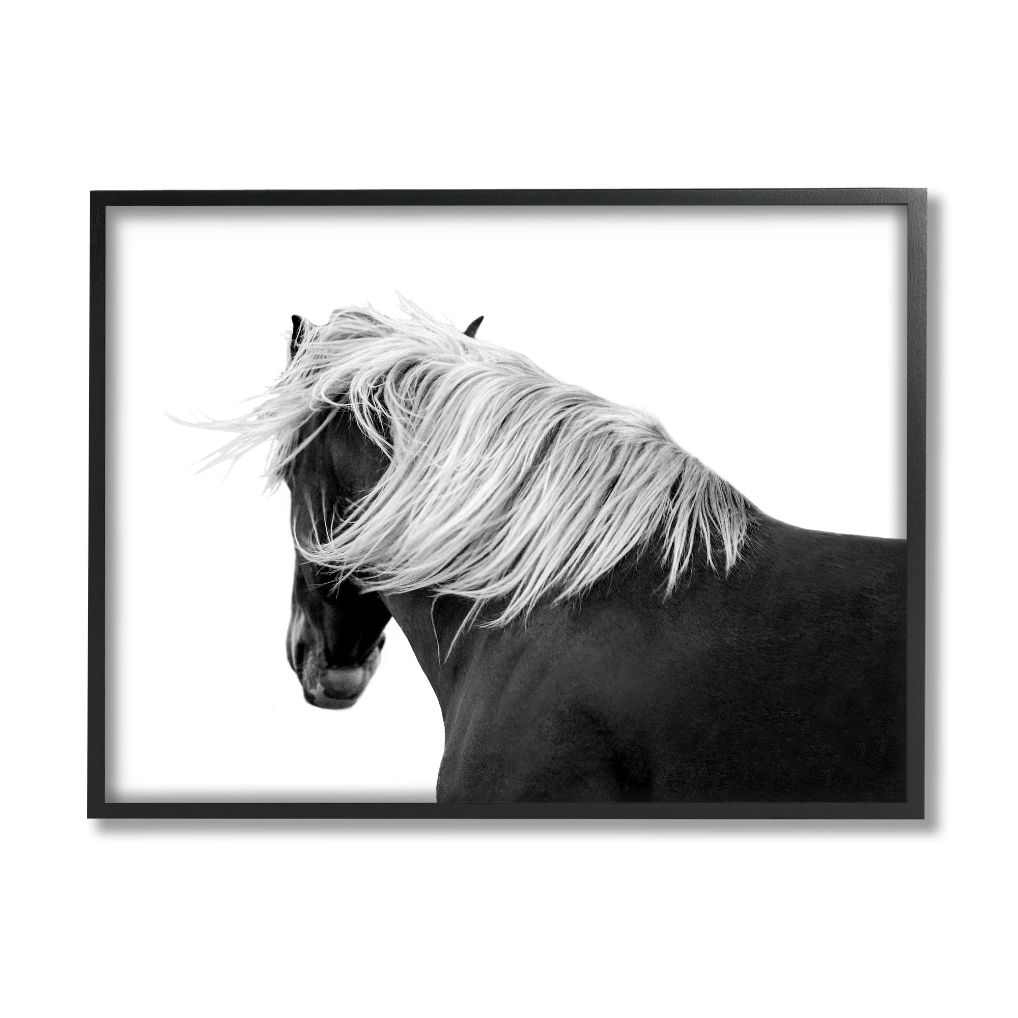 Stupell Industries Equestrian Photography Modern Horse Contrast Black White, 20 x 16,Design by Samantha Carter