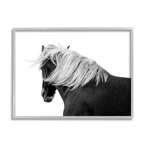 Stupell Industries Equestrian Photography Modern Horse Contrast Black White, 30 x 24,Design by Samantha Carter