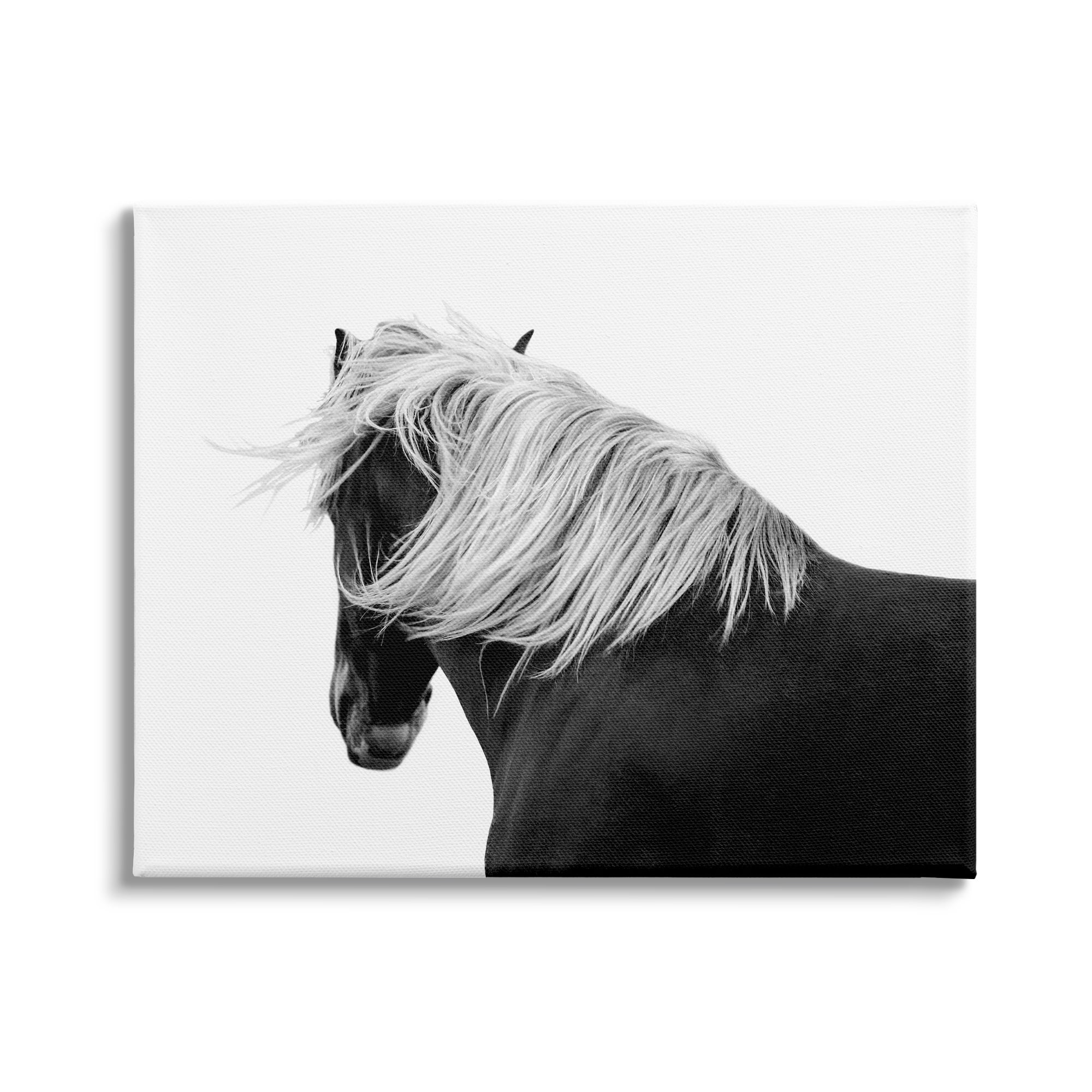 Stupell Industries Equestrian Photography Modern Horse Contrast Black White, 48 x 36,Design by Samantha Carter