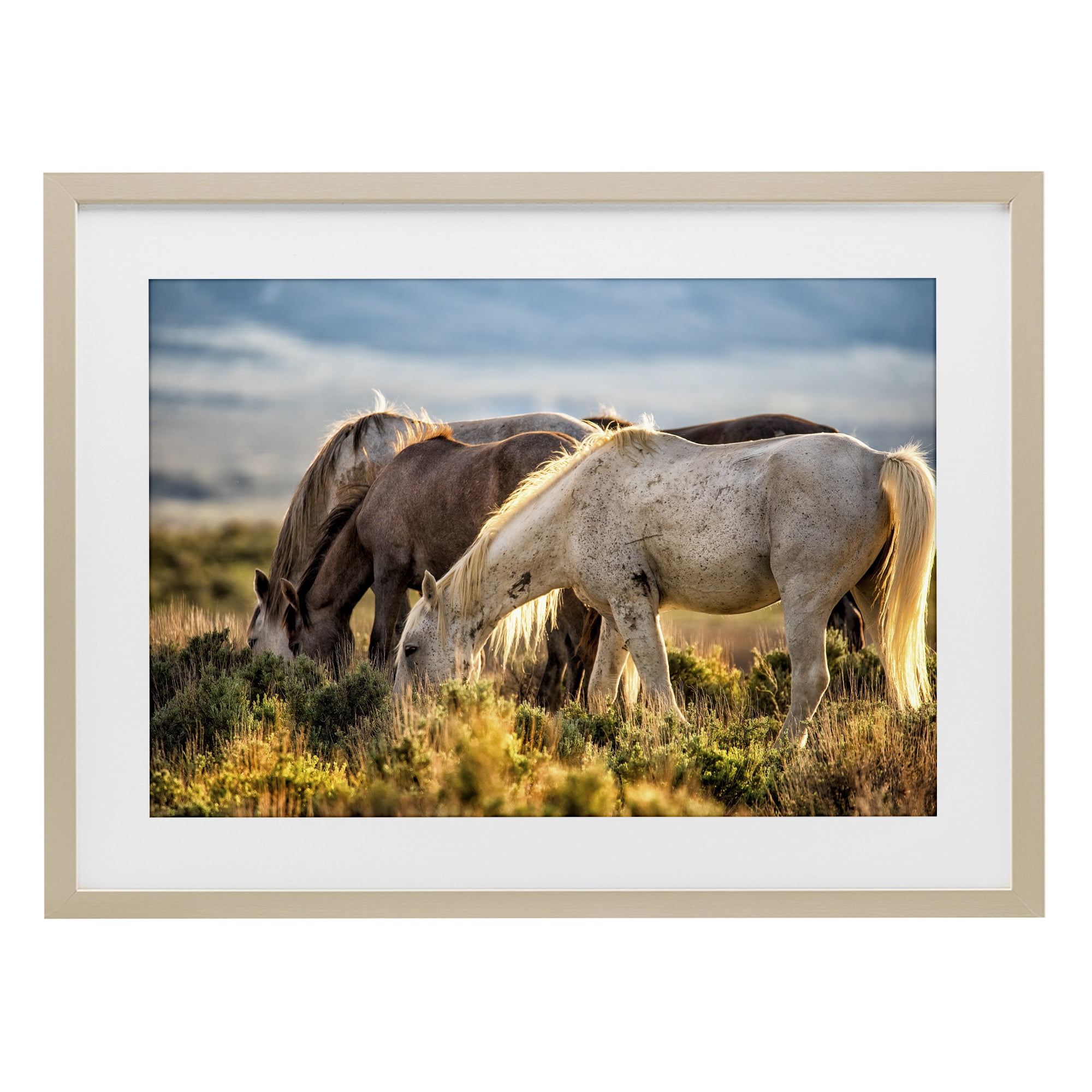 Stupell Industries Equine Evening Graze Birch Framed Print Under Glass, design by Tim West