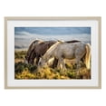 thumbnail image 1 of Stupell Industries Southwestern Equine Evening Graze Birch Framed Print Under Glass, 20 x 14, by Tim West, 1 of 8