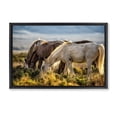 thumbnail image 1 of Stupell Industries Southwestern Equine Evening Graze Black Floating Frame Canvas Art, 31 x 21, by Tim West, 1 of 8