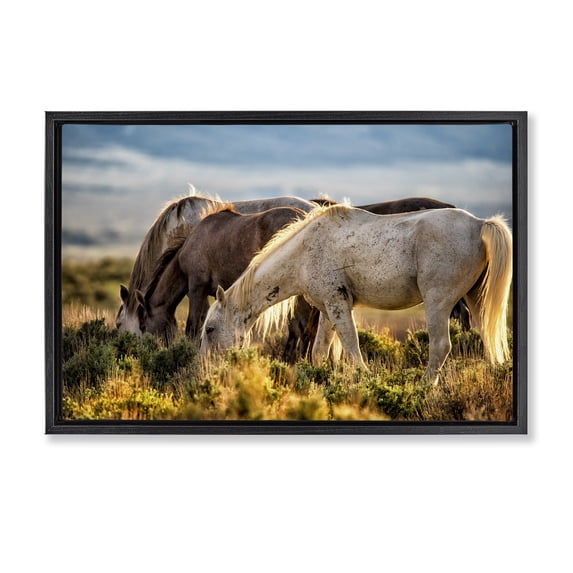 Stupell Industries Southwestern Equine Evening Graze Black Floating Frame Canvas Art, 31 x 21, by Tim West