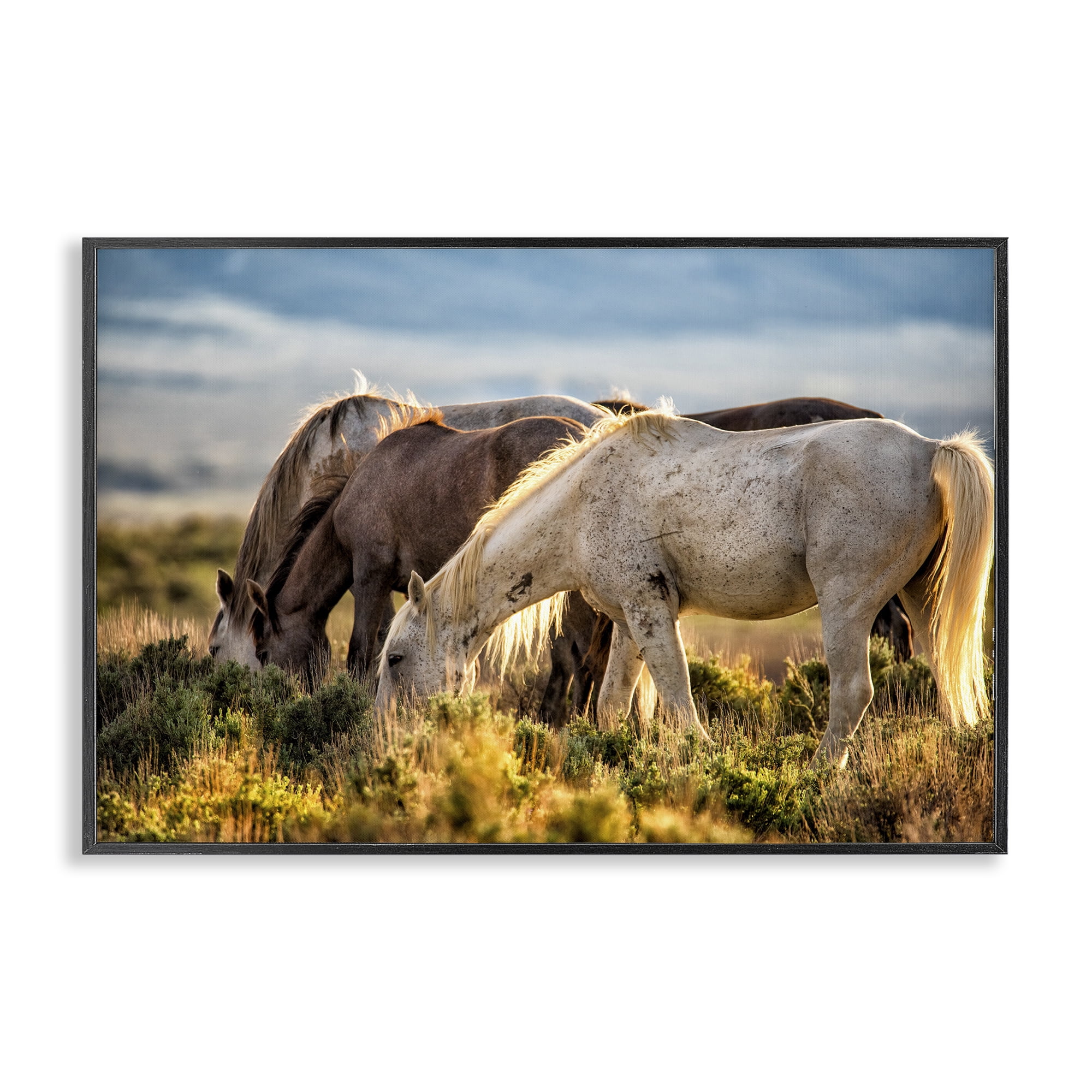 Stupell Industries Equine Evening Graze Black Framed Giclee Art, design by Tim West